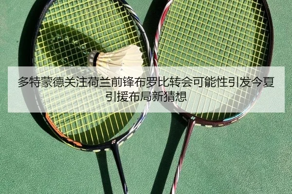 多特蒙德关注荷兰前锋布罗比转会可能性引发今夏引援布局新猜想（kaiyun）